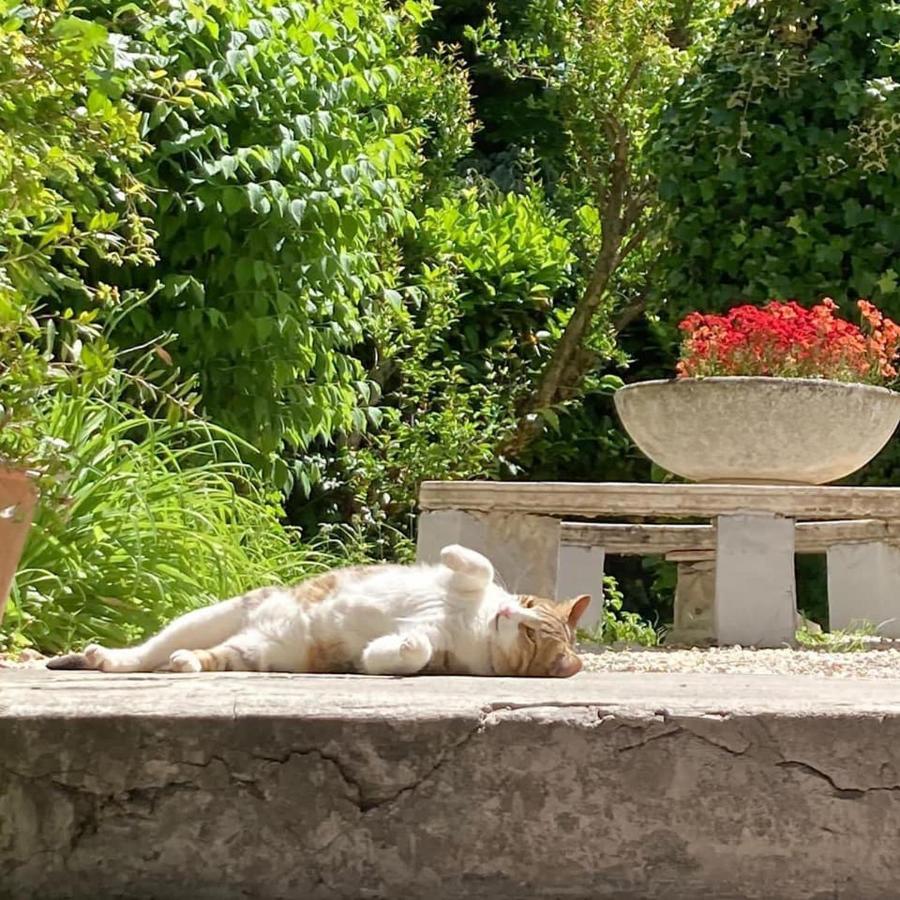 Il Giardino Nel Parco R&B Ξενοδοχείο Μπολόνια Εξωτερικό φωτογραφία